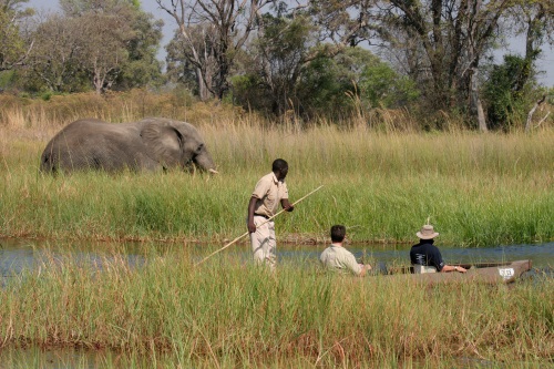 Moremi Crossing mokoro 2